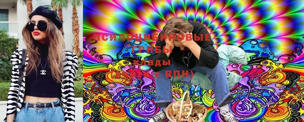 крисы Арсеньев