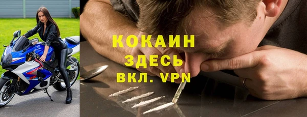 крисы Арсеньев